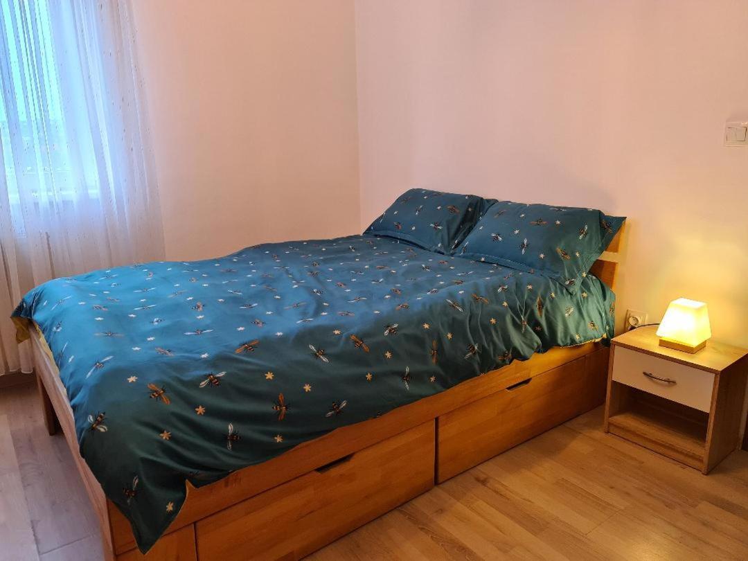 Central Cosy Apart Oradea Apartment Exterior foto
