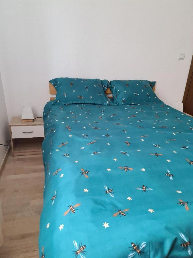 Central Cosy Apart Oradea Apartment Exterior foto
